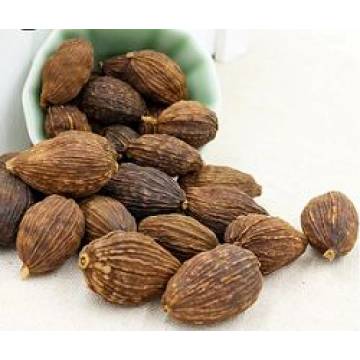 Grass Fruit Herb  1kg