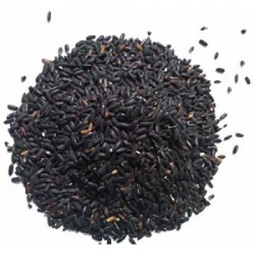 Ind Black Glutinous Rice (Pulut Hitam )  1kg