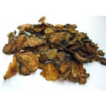 Ligusticum Wallichii  1kg