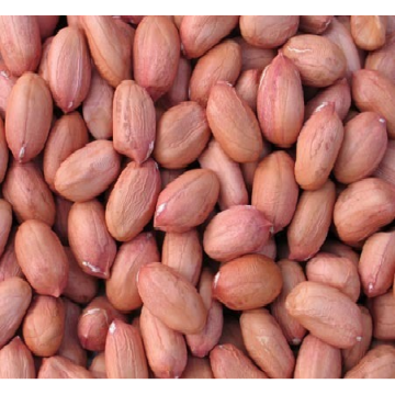 Small Ground Nut  VN  1kg